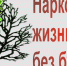 Профилактика наркомании среди населения в ГО «город Каспийск» - Сетевое издание Каспий-Медиа